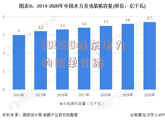 600310桂东电力的简单介绍