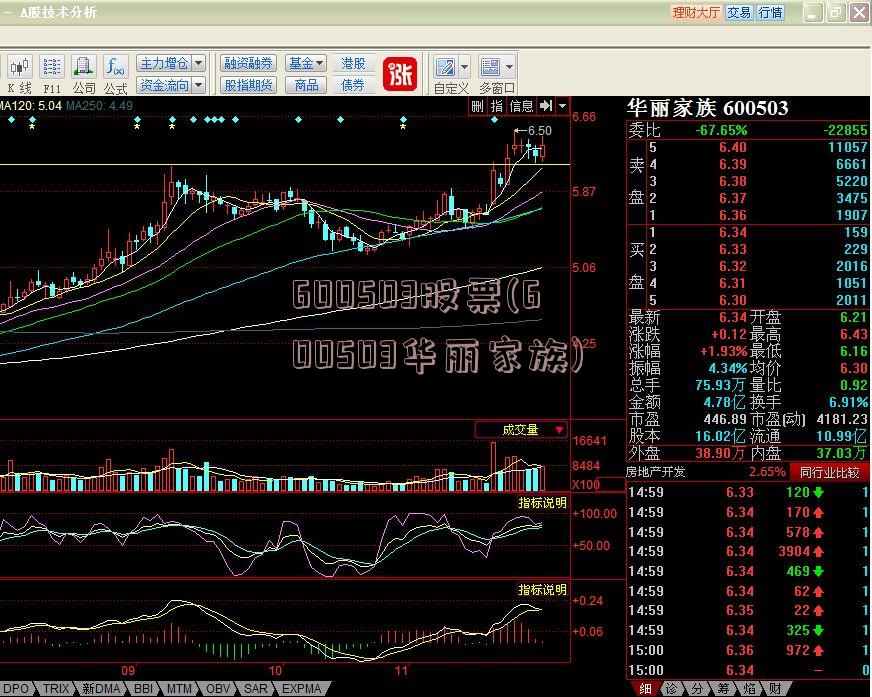 600503股票(600503华丽家族)