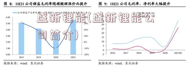 盛新锂能(盛新锂能公司简介)