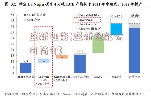 盛新锂能(盛新锂能公司简介)