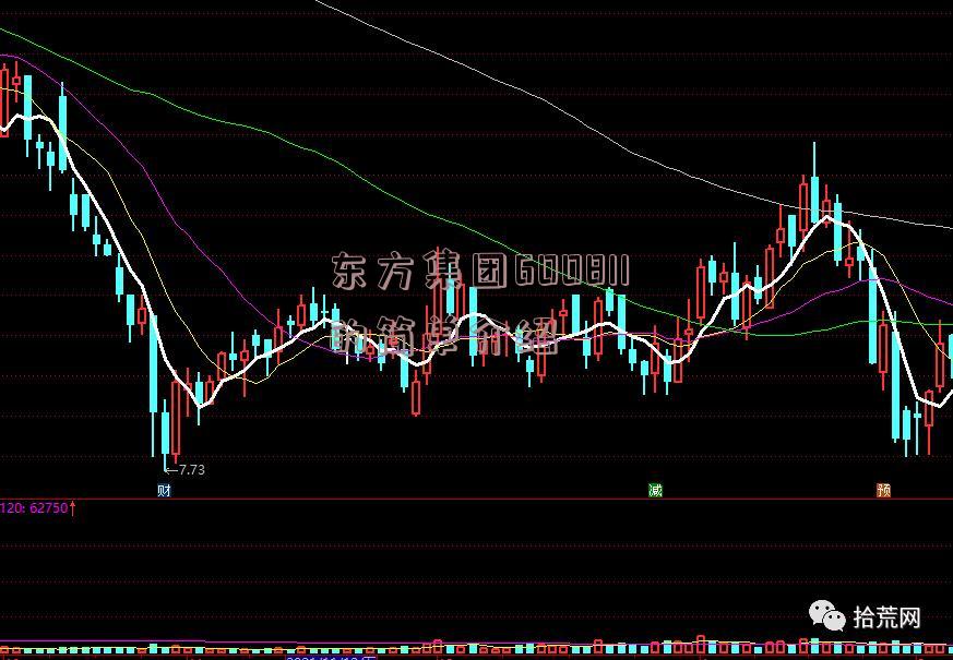 东方集团600811的简单介绍