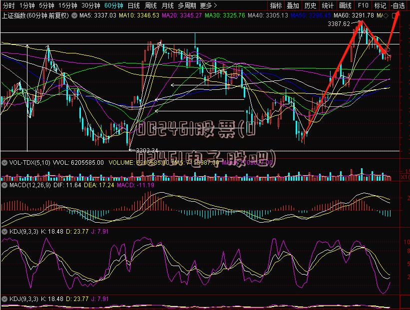 002461股票(002461电子股吧)