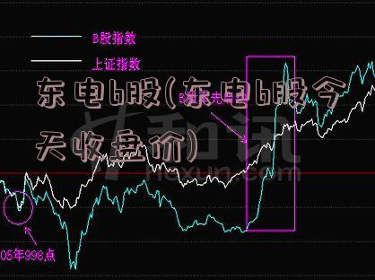 东电b股(东电b股今天收盘价)