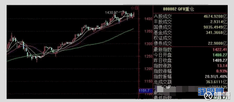 300017股票(600621股票行情)