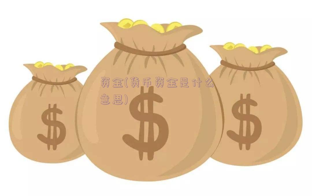 资金(货币资金是什么意思)