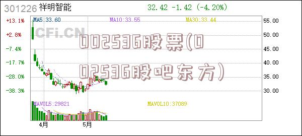 002536股票(002536股吧东方)