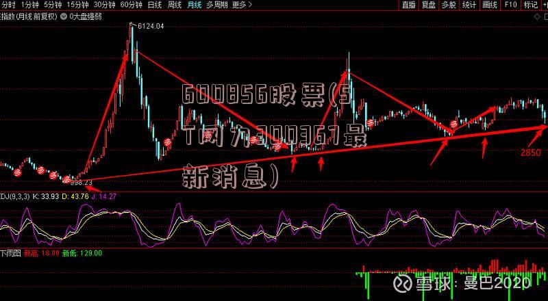 600856股票(ST网力300367最新消息)