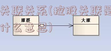 关联关系(控股关联是什么意思)