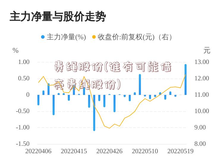 贵绳股份(谁有可能借壳贵绳股份)