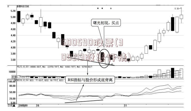 600590股票(300213股票行情)