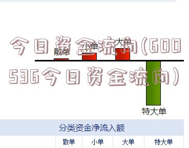 今日资金流向(600536今日资金流向)