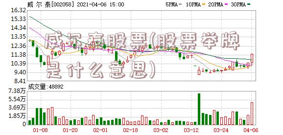 威尔泰股票(股票举牌是什么意思)