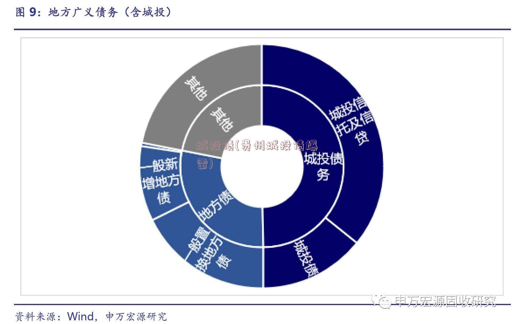 城投债(贵州城投债爆雷)