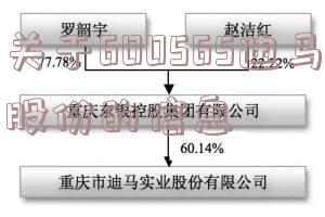 关于600565迪马股份的信息