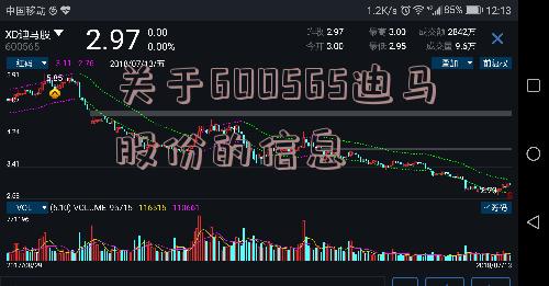 关于600565迪马股份的信息