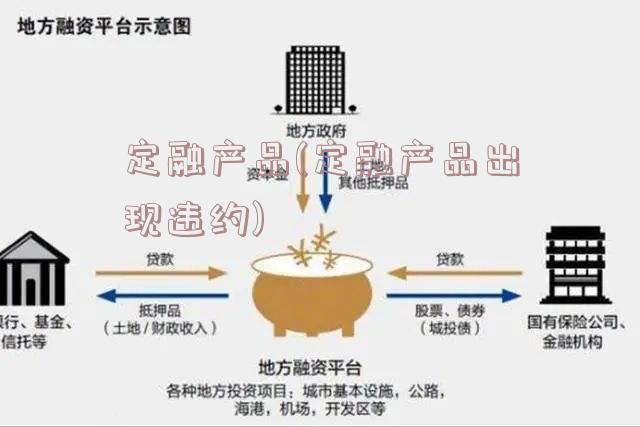 定融产品(定融产品出现违约)