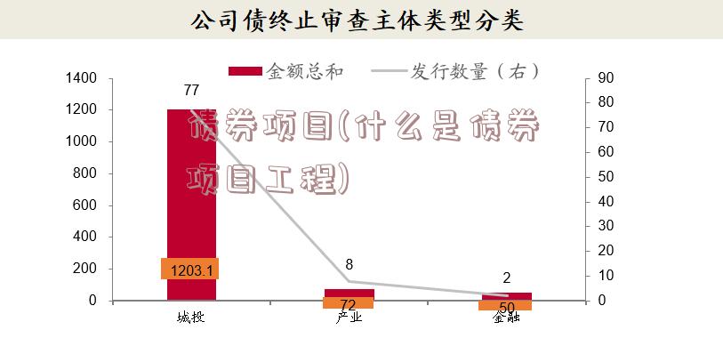 债券项目(什么是债券项目工程)