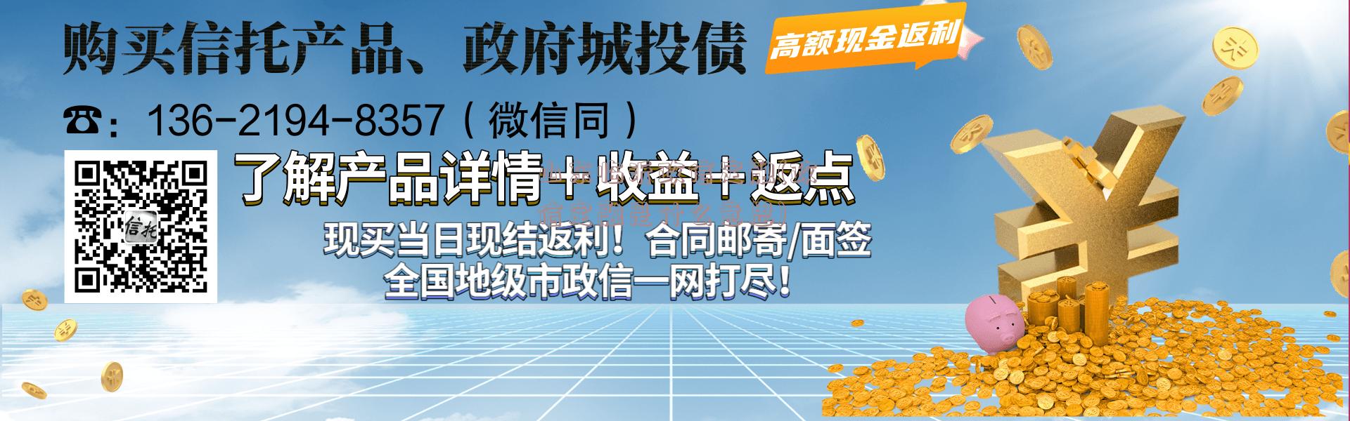 山东临沂政信定融(政信定融是什么意思)