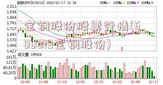 宝钢股份股票行情(600019宝钢股份)