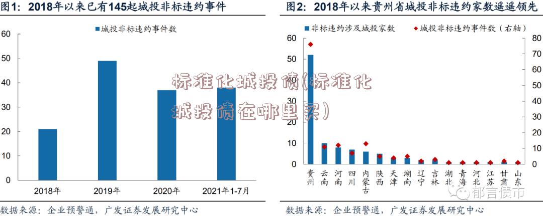 标准化城投债(标准化城投债在哪里买)