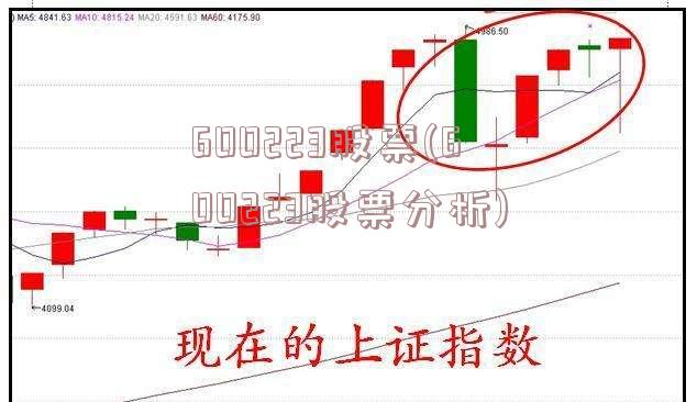 600223股票(600223股票分析)