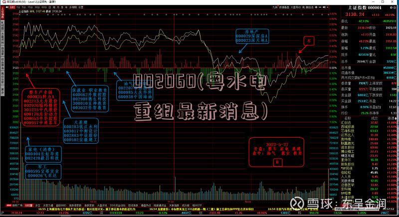 002060(粤水电重组最新消息)