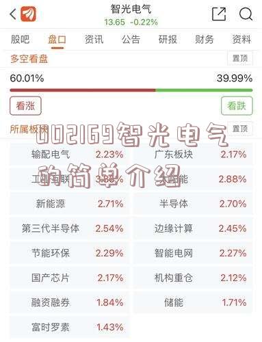 002169智光电气的简单介绍