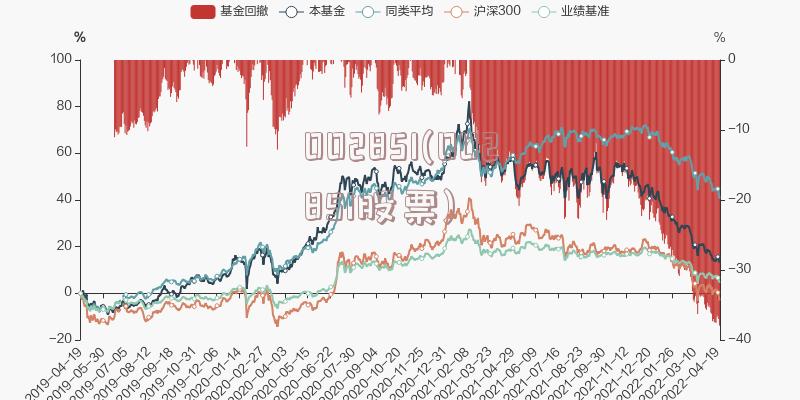 002851(002851股票)