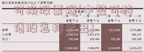 可换股票据(中签可转债股怎样卖出)