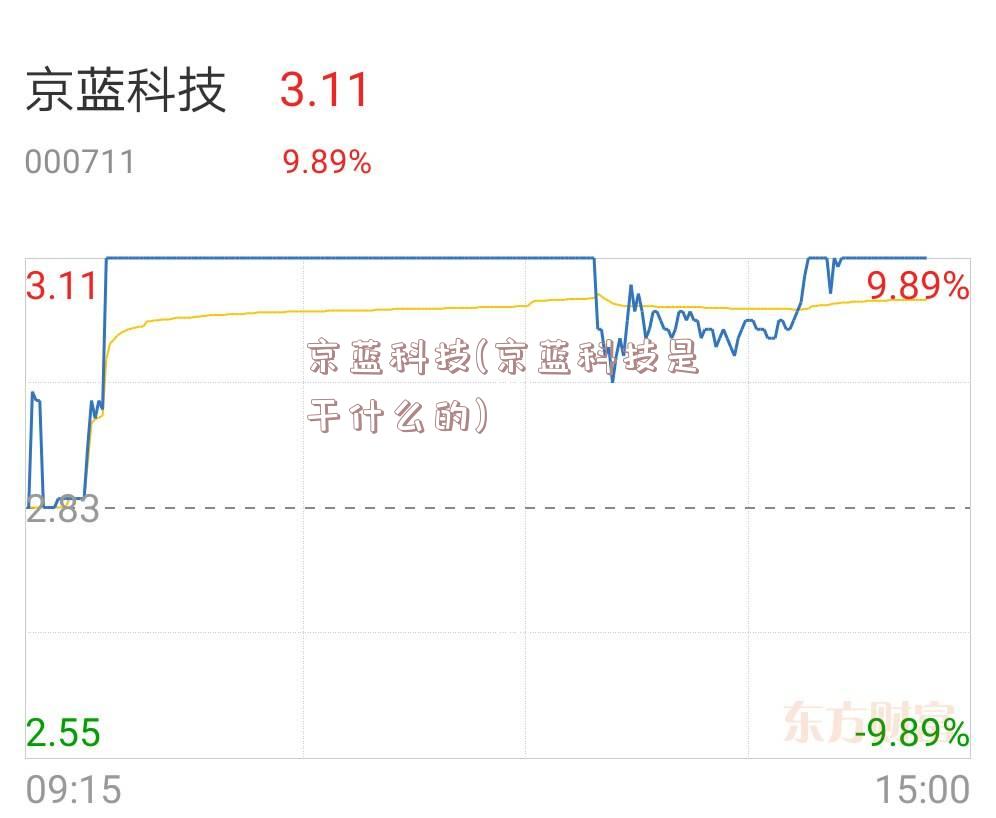 京蓝科技(京蓝科技是干什么的)