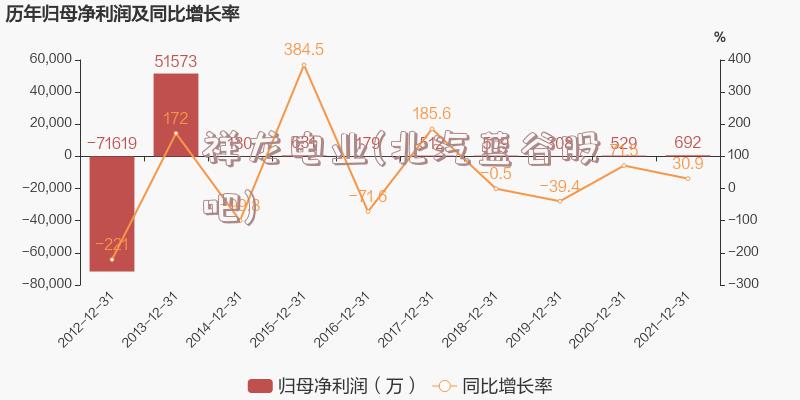 祥龙电业(北汽蓝谷股吧)