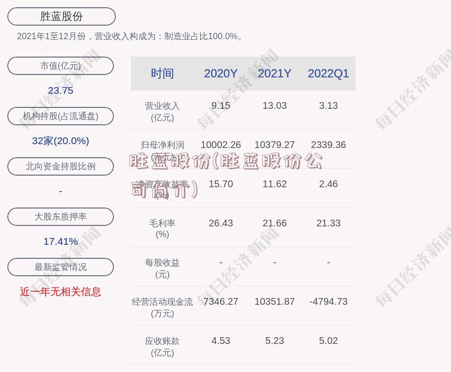 胜蓝股份(胜蓝股份公司简介)