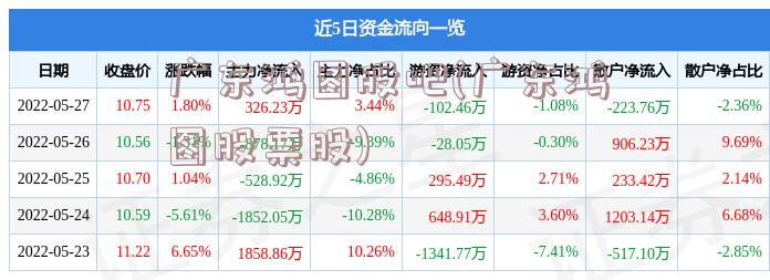 广东鸿图股吧(广东鸿图股票股)