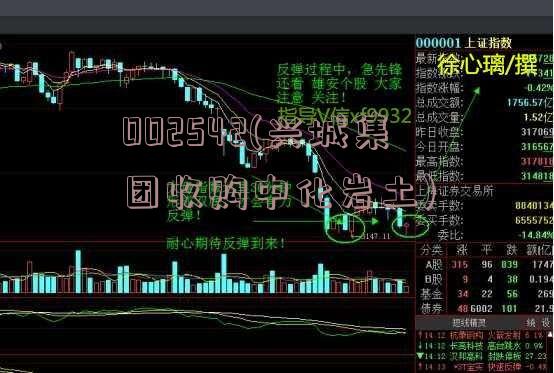 002542(兴城集团收购中化岩土)