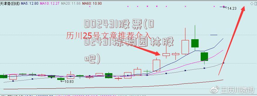 002431股票(002431棕榈园林股吧)