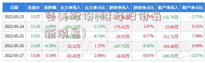 岱美股份(继峰股份最新消息)