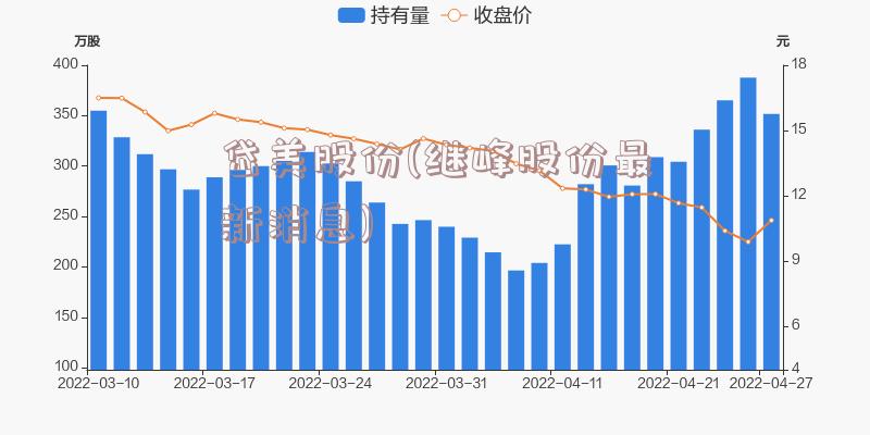 岱美股份(继峰股份最新消息)