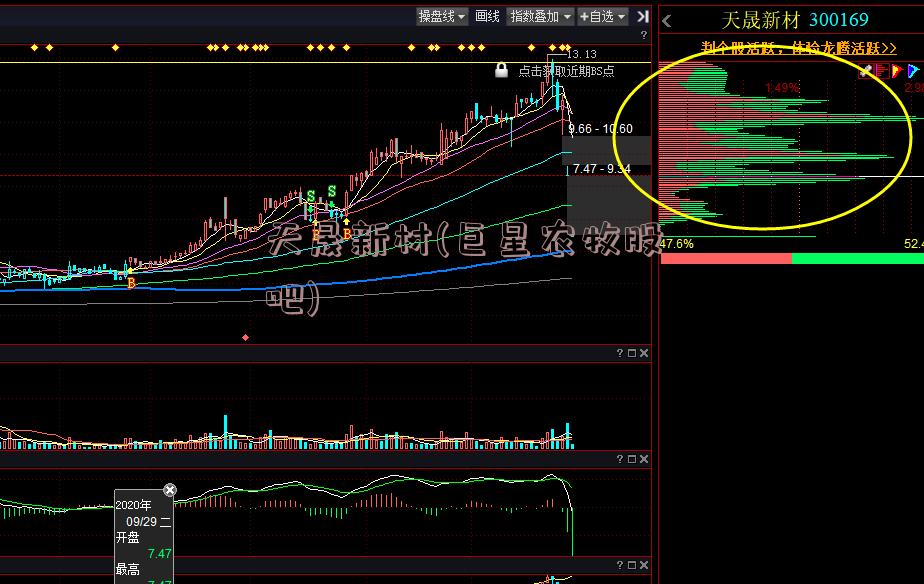天晟新材(巨星农牧股吧)