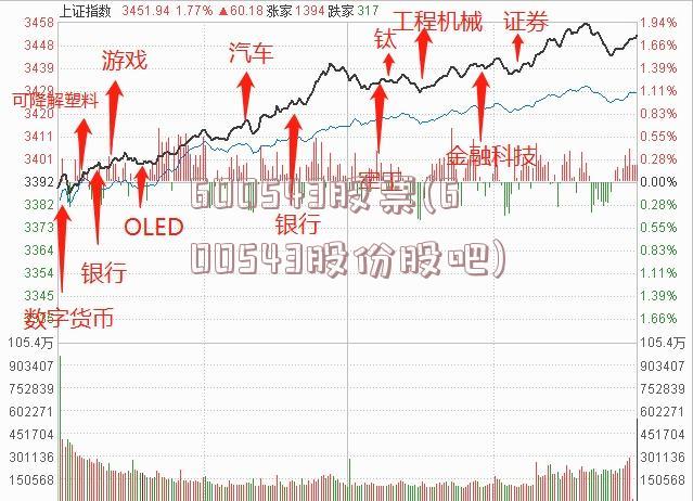 600543股票(600543股份股吧)