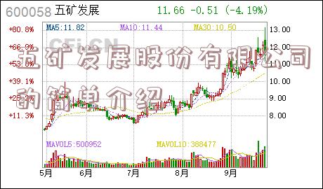 五矿发展股份有限公司的简单介绍