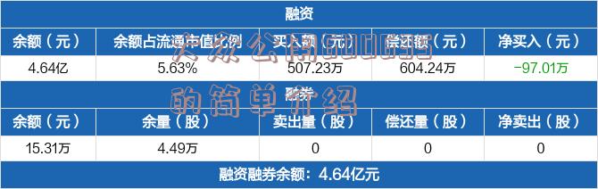 大众公用600635的简单介绍