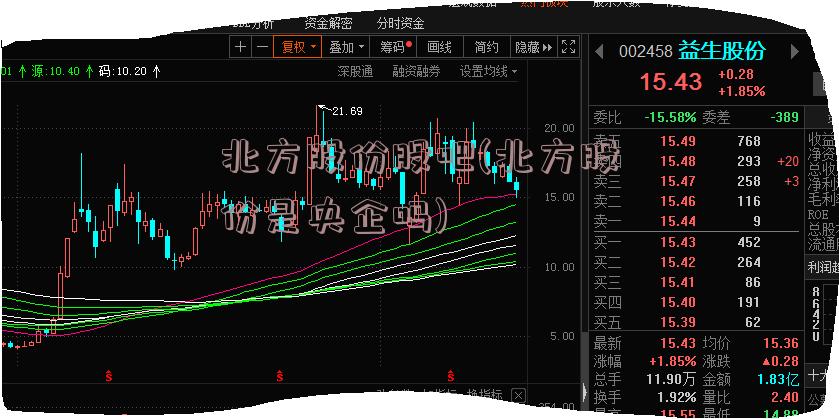 北方股份股吧(北方股份是央企吗)