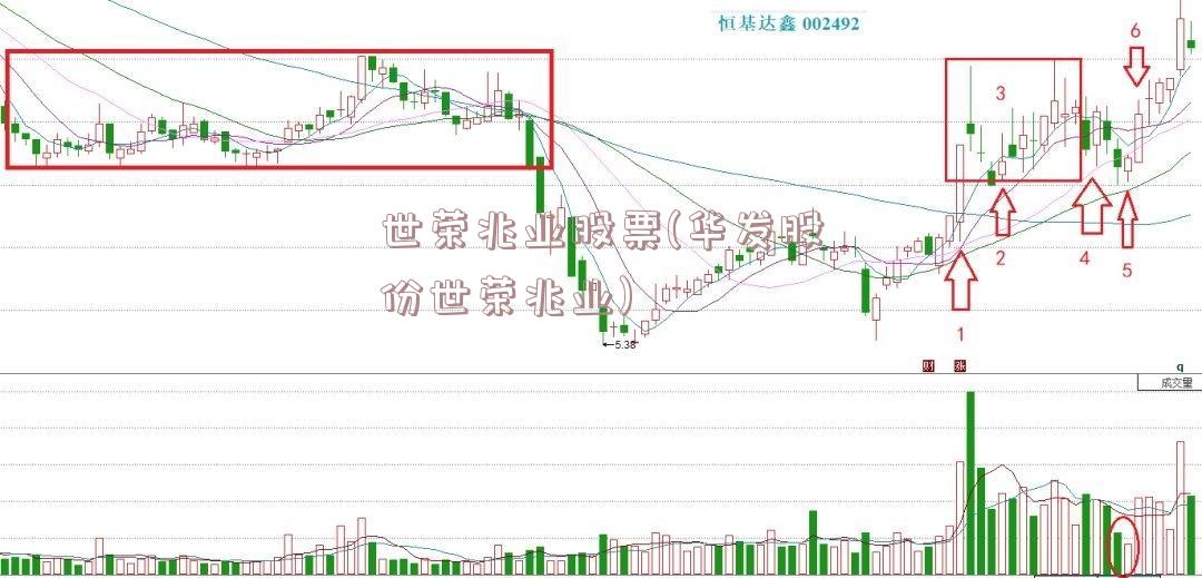 世荣兆业股票(华发股份世荣兆业)