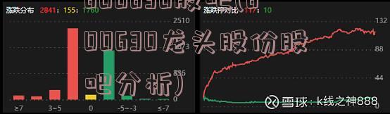 600630股吧(600630龙头股份股吧分析)