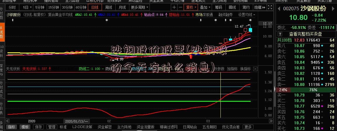 沙钢股份股票(沙钢股份今天有什么消息)