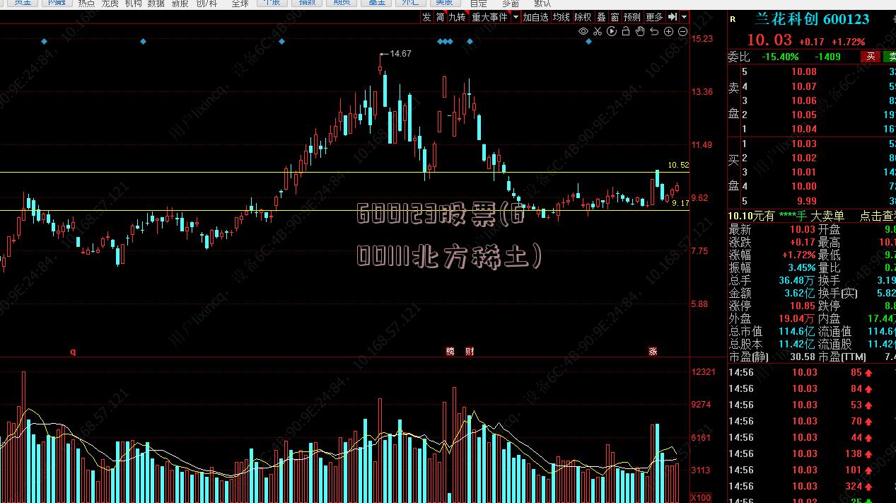 600123股票(600111北方稀土)