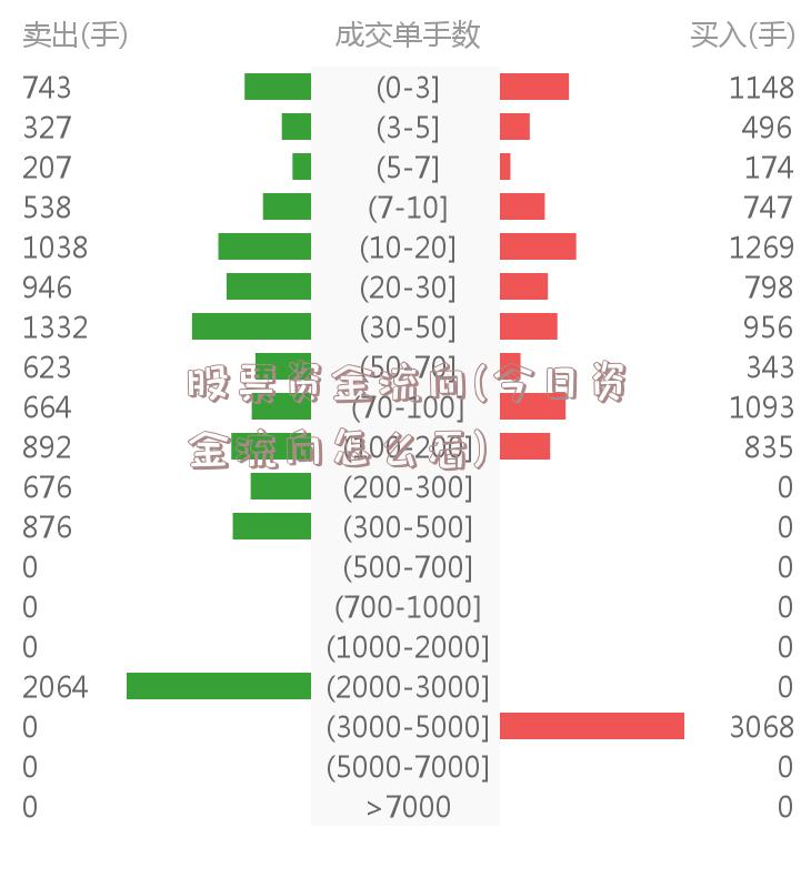 股票资金流向(今日资金流向怎么看)