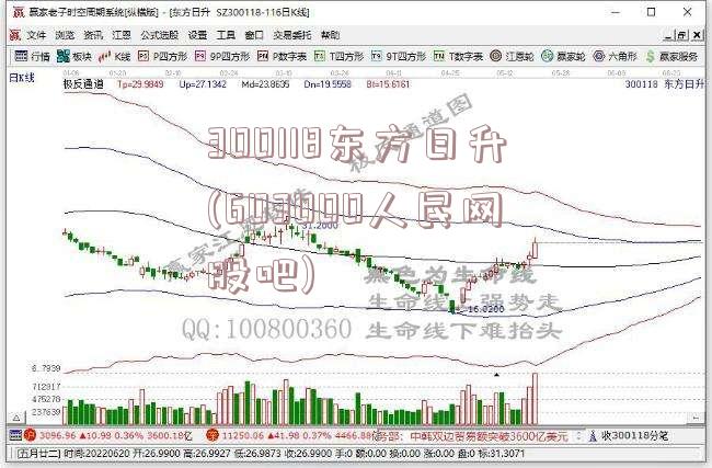 300118东方日升(603000人民网股吧)