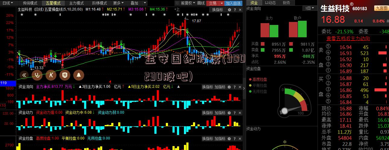 金安国纪股票(300230股吧)