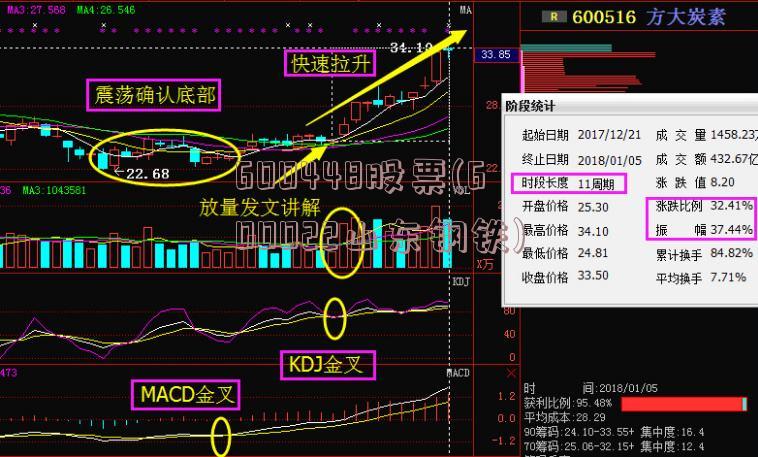 600448股票(600022山东钢铁)